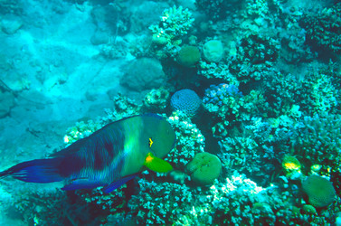 Similar image 21638855