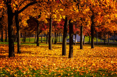 Similar image 21638860