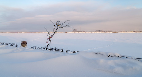 Similar image 21638871