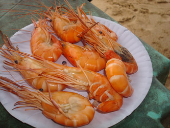 Similar image 21639432