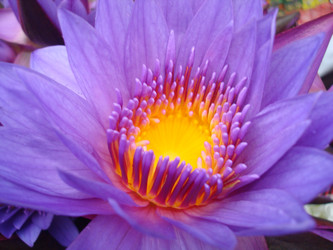 Similar image 21639436