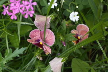 Similar image 21639438