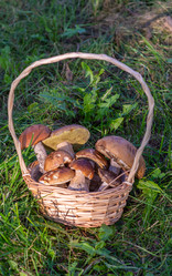 Similar image 21661189