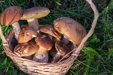 Similar image 21661190