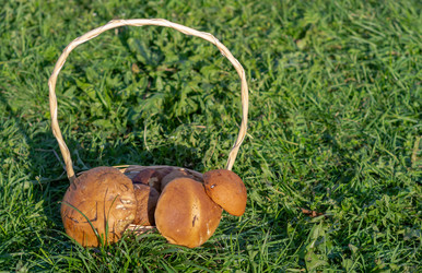 Similar image 21661191