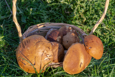 Similar image 21661192