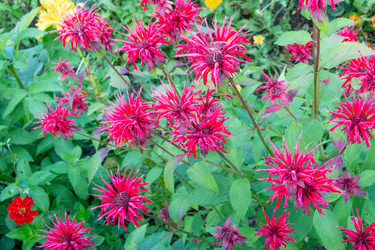 Similar image 21660330