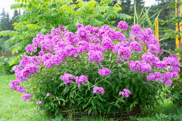 Similar image 21660150