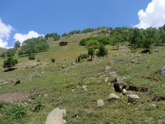 Similar image 21647659