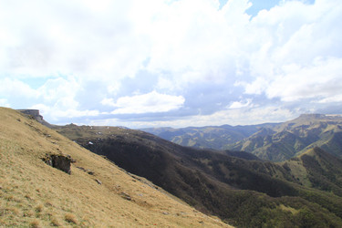 Similar image 21639814