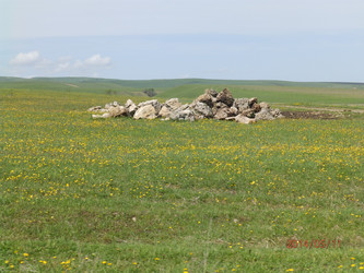 Similar image 21639850