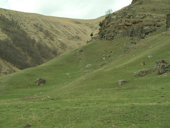 Similar image 21639854