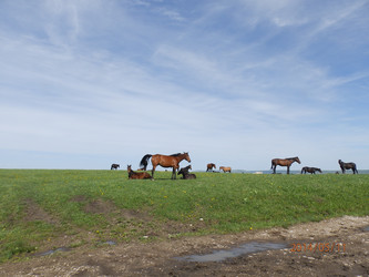 Similar image 21639856