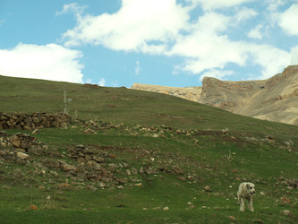 Similar image 21639857