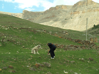 Similar image 21639859