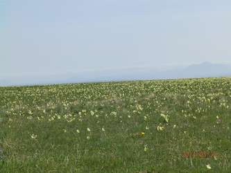 Similar image 21639861