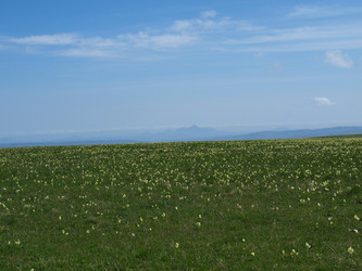 Similar image 21639862