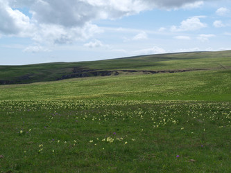 Similar image 21639864