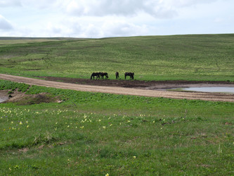 Similar image 21639865