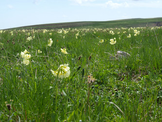 Similar image 21639866