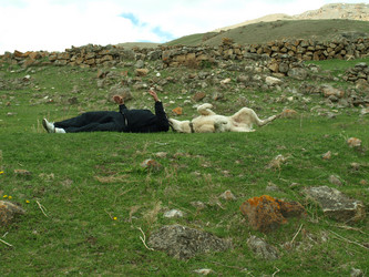 Similar image 21639870