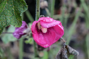 Similar image 21635278