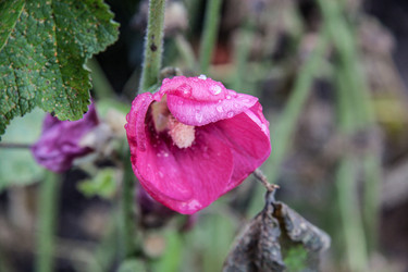 Similar image 21635280