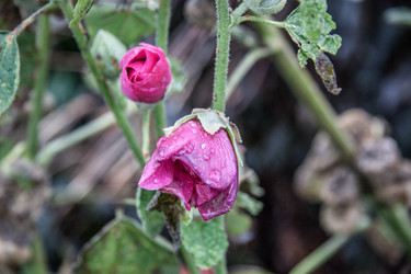 Similar image 21635281