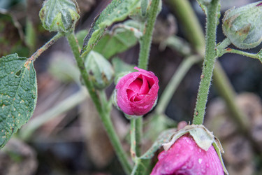 Similar image 21635282