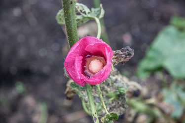 Similar image 21635283