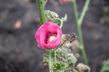 Similar image 21635284