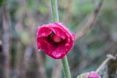 Similar image 21635285