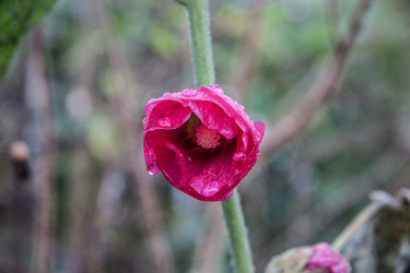 Similar image 21635286