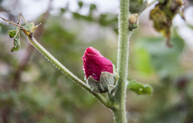 Similar image 21635287