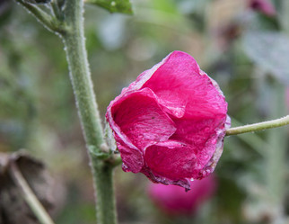 Similar image 21635289