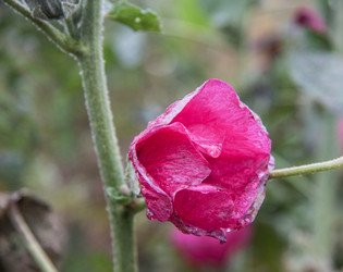 Similar image 21635290