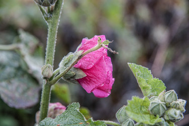 Similar image 21635291