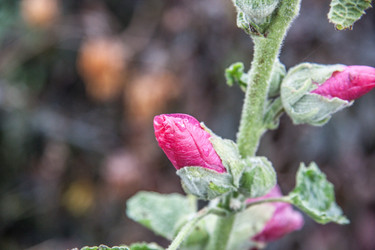 Similar image 21635293