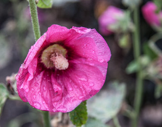 Similar image 21635294