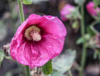 Similar image 21635295