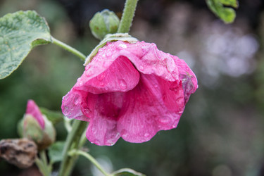 Similar image 21635296