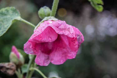 Similar image 21635297