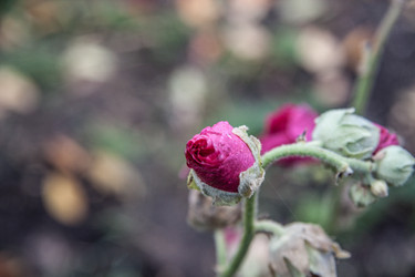 Similar image 21635298