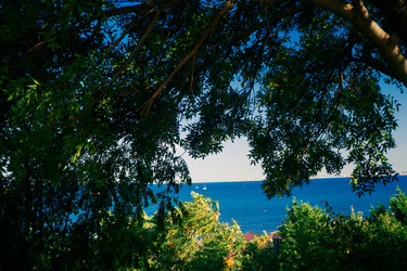 Similar image 21654970