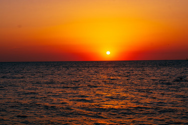 Similar image 21654972