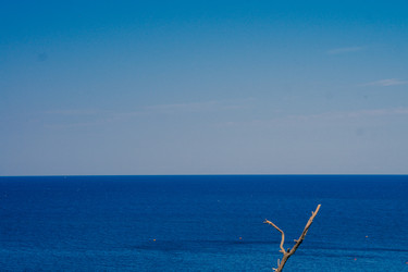 Similar image 21654990