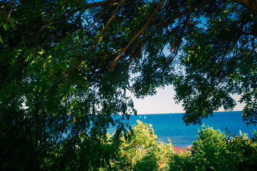 Similar image 21654991