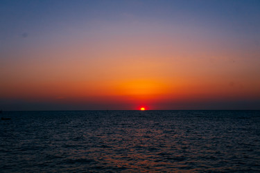 Similar image 21654992