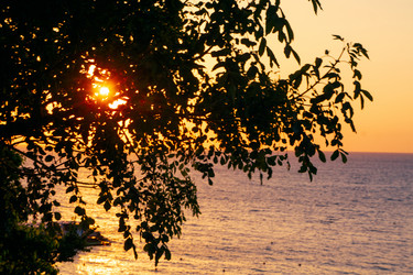 Similar image 21655134