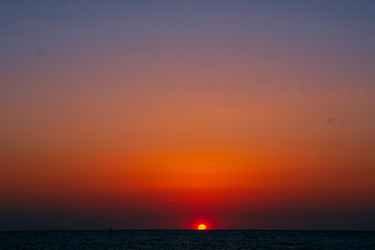 Similar image 21655148